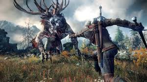 witcher